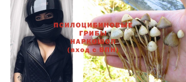 герыч Алексин