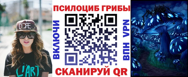 купить наркотик  Мостовской  Галлюциногенные грибы GOLDEN TEACHER 